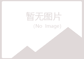 中山区夜蕾农业有限公司